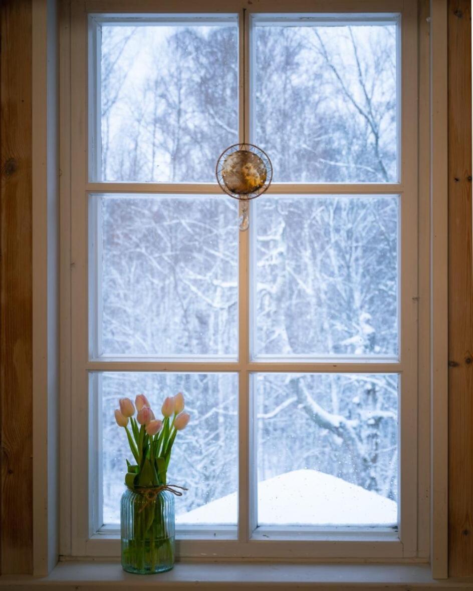 Kolinkylä Kolin Mattila B&B المظهر الخارجي الصورة