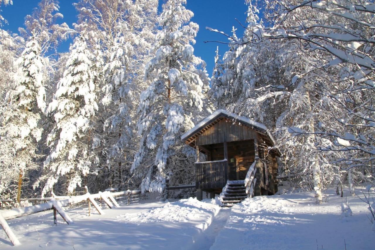 Kolinkylä Kolin Mattila B&B المظهر الخارجي الصورة